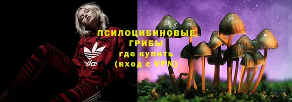 соль ск Алексин