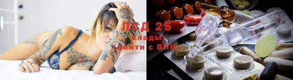 соль ск Алексин