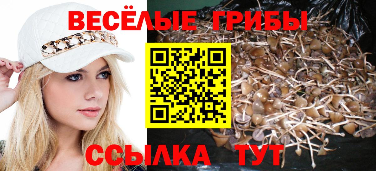 Галлюциногенные грибы ЛСД Ступино
