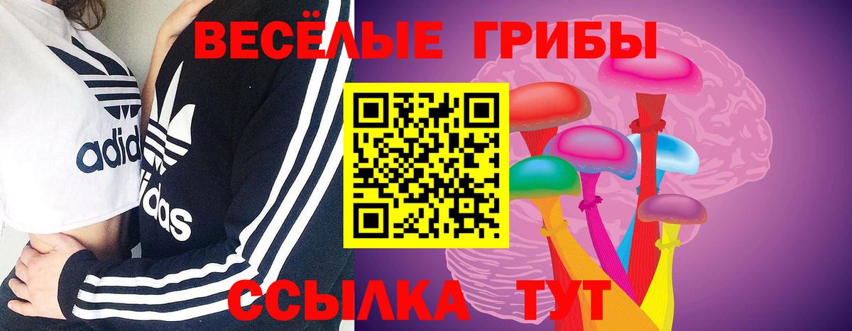 Галлюциногенные грибы прущие грибы  Вход с VPN  Ступино 